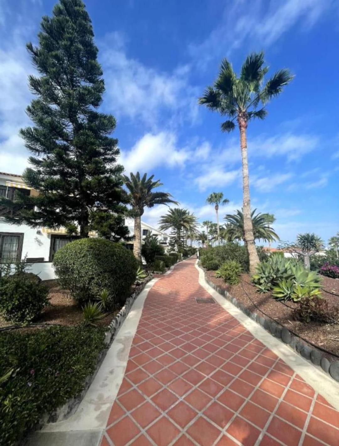 Apartment In Amarilla Golf 2 Bedrooms サンミゲル・デ・アボナ エクステリア 写真
